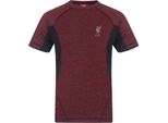Liverpool Fc - T-Shirt Da Bambino, Poliestere GF443 (134) (Rosso Ibisco Screziato)