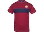 Manchester City Fc - T-Shirt Da Uomo, Poliestere GF393 (S) (Rosso)