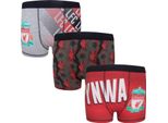 Liverpool Fc - Boxer Da Ragazzo (Confezione Da 3) GF1071 (146-152) (Colorato)