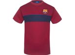 Manchester City Fc - T-Shirt Da Uomo, Poliestere GF393 (L) (Rosso)