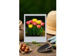 Bulbi Da Fiore Exotenherz - Tulipani Tulipa Foxtrot Mix (12 Pezzi) Diametro 11-12Cm