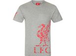 Liverpool Fc - Maglietta Da Ragazzo GF621 (98) (Grigio)