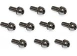 Viti Portabottiglie Massi 10 Unità Nero 5 X 12 Mm Nero 5 X 12 Mm