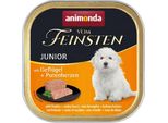 Animonda Vom Feinsten Junior Con Pollame E Cuori Di Tacchino 150 Gx22