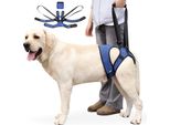 Inf Imbracatura Di Supporto Posteriore Per Cani - Aiuto Alla Mobilità Per Cani Anziani Xl