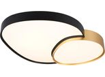 Trio Leuchten Led Deckenleuchte "Rise, Led Deckenlampe 45W 5300 Lumen Warmweiß Bis Kaltweiß 2700-6500K", Gold, 1, H: 11,5Cm, 1 Stk., Leuchten, Fernbedienung Dimmbar Memoryfunktion Nachtlicht Cct Lichtfarbe WäHlbar, Led Deckenleuchte