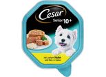 Cesar Cibo Umido Senior Per Cani Dai 10 Anni In Su In Gelatina 150G