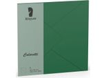 Busta Grande Quadrata Colouretti 5 Pz. Verde Scuro