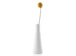 Candeliere Legio Nova - 20 Cm - Eva Trio