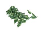 Rattan Vegetale Simulato, Rattan Vegetale Artificiale, Rattan Vegetale In Plastica, Vasca Per Pesci, Paesaggio Rettiliano