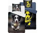 Biancheria Da Letto Fosforescente 140X200 Cane Border Collie Con Pallina