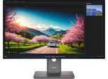 Lenovo Thinkvision P32UD-40 Monitor Pc 31,5 Pollici 3840 X 2160 Pixel 4K Ultra Hd Lcd Nero