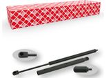 Molla A Gas Febi Bilstein Ammortizzatore Cofano Motore 453 Mm Adatto Per MERCEDES-BENZ Classe R (W251, V251) 400 N 24738