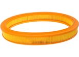 MASTER-SPORT 3034-LF-PCS-MS Filtro Aria Per Ford Escort Iv (Gaf, Awf, Abft)