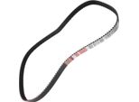 MASTER-SPORT 871-SD-PCS-MS Cinghia Di Distribuzione Per Opel Astra G Cc (T98)