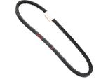 MASTER-SPORT AVX-10X720-PCS-MS Cinghia Trapezoidale Per Audi 80 B3 Notchback (893, 894, 8A2)