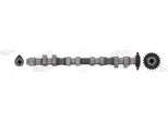 Ae CAM744 Albero A Camme Di Scarico Per Vw Golf Iv Hatchback (1J1) Golf Iv Variant (1J5) Passat Variant (3B5) Bora Berlina (1J2) Bora Variant (1J6)
