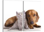 Piastre Coprifornelli 2 Pezzi 30X52 Vetro Coprifornelli In Ceramica, Cane Gatto