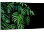 Piastra Di Copertura Del Piano Cottura 80X52Cm 1 Pezzo In Ceramica, Verde Fogliame