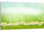 Piastra Di Copertura Del Piano Cottura 80X52Cm 1 Pezzo In Ceramica, Verde Margherita