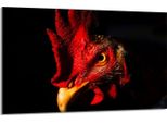 Piastra Di Copertura Del Piano Cottura 80X52Cm Coperchio Del Piano Cottura In Ceramica 1 Pezzo Paraspruzzi, Nero Animale