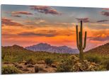 Piastra Di Copertura Del Piano Cottura 80X52Cm 1 Pezzo In Ceramica, Paesaggio Cactus