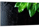 Piastra Di Copertura Per Piano Cottura 80X52Cm 1 Pezzo In Ceramica, Fogliame Di Basilico