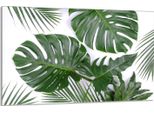 Piastra Di Copertura Del Piano Cottura 80X52Cm 1 Pezzo Di Copertura Del Piano Cottura In Ceramica, Fogliame Monstera