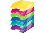 Leitz Wow Vassoio Verticale Formato A4 Multicolore Multicolore Taglia Unica