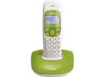 Brondi Nice Telefono Dect Verde E Bianco Con Vivavoce E Identificatore Di Chiamata