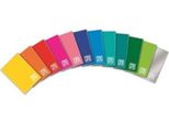 Blasetti One Color Quaderno Per Scrivere A5 210 Fogli Multicolore