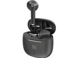 Celly BUZ2 Cuffie True Wireless Stereo (Tws) In Ear Chiamate/Musica Usb Type-C Bluetooth Nero
