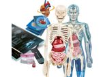Clementoni Science & Jeu Laboratoire 8005125192991 Kit Di Costruzione Scientifica E Giocattolo Per Bambini