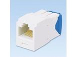 Panduit Utp RJ45 Tg-Minijack Cat6A Bianco Sporco