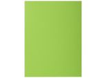Exacompta 800013E Cartella Cartone Verde A4