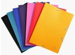 Exacompta 559000E Cartella Angolare Exacompta Opaca Eco, Din A4, Pp, Assortita