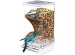 Mangiatoia Per Uccelli, Resistente Agli Schizzi, Accessori Per Gabbie, Mangiatoia Per Cocorite, Canarini, Cacatua, Fringuelli