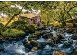 Roovi - Puzzle Del Mulino Ad Acqua - 1000 Pezzi