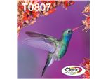 Epson Hummingbird T0807 Cartuccia D'inchiostro 1 Pz Originale Multipack Color