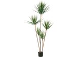 Kunstpflanze Creativ Green "Dracaena Draco", GrüN, H:165Cm, Kunststoff, Kunstpflanzen, Kunstpflanze, Mit 5 StäMmen