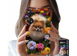 Custodia Per Oppo Reno8 T 4G - Cane Carino, Custodia Pomerania + Vetro