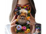 Custodia Per Oppo Reno11 F 5G - Cane Carino, Custodia Pomerania + Foil
