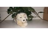 Uni Toys Piccolo Cane Golden Retriever Sdraiato Peluche Giocattolo Morbido