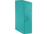 Leitz Wow Cartoncino Colore Acqua