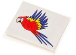 Duckiez Tatuaggi Pirata, 12 Pezzi.