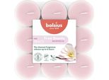 Lampade Profumate, Magnolia, True Scents, Bolsius, Ø39 Mm, Tempo Di Combustione Circa 6H, 18 Pezzi Per Confezione
