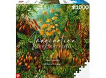 Ernst Haeckel Muscinae Puzzle Di 1000 Pezzi