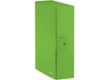 Leitz Wow Cartoncino Verde