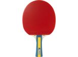 Tischtennisschläger JOOLA JOOLA Tischtennisschläger Team Master, bunt, TischtennisschlägerB:151mm L:256mm T:14mm, B:151mm L:256mm T:14mm