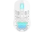 Cherry Xtrfy M42W-RGB-WHITE Cherry Xtrfy M42 Gaming-Maus Kabellos Weiß